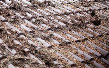 Torre roof cleaning companies